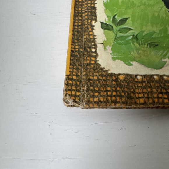 Butternut Bill And The Bear by Edith McCall 1965 Hardback Vintage Book - Picture 8 of 12